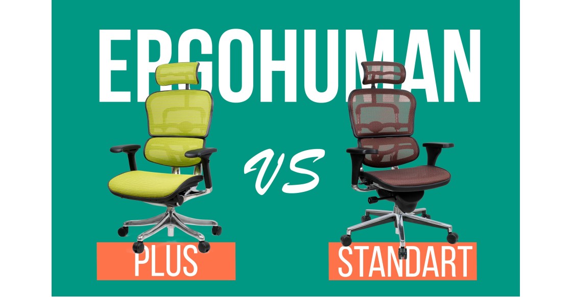 Сравниваем Ergohuman: Standart и Plus Сравниваем Ergohuman: Standart и Plus