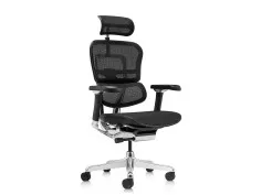 Ergohuman Luxury 2