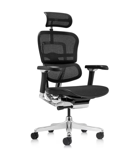 Ergohuman Luxury 2