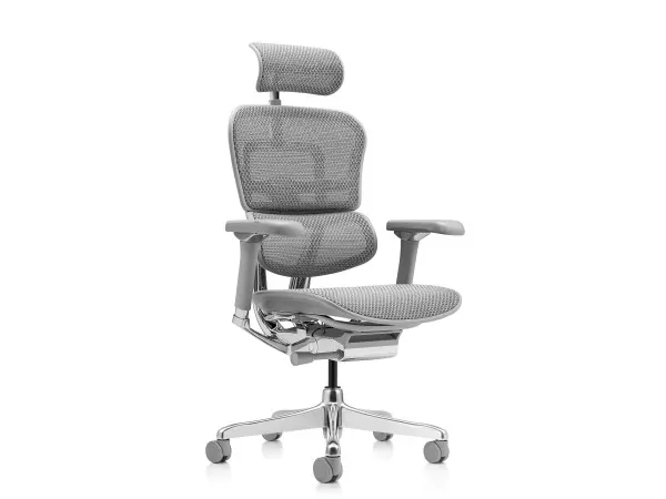 Ergohuman Luxury 2 Серое