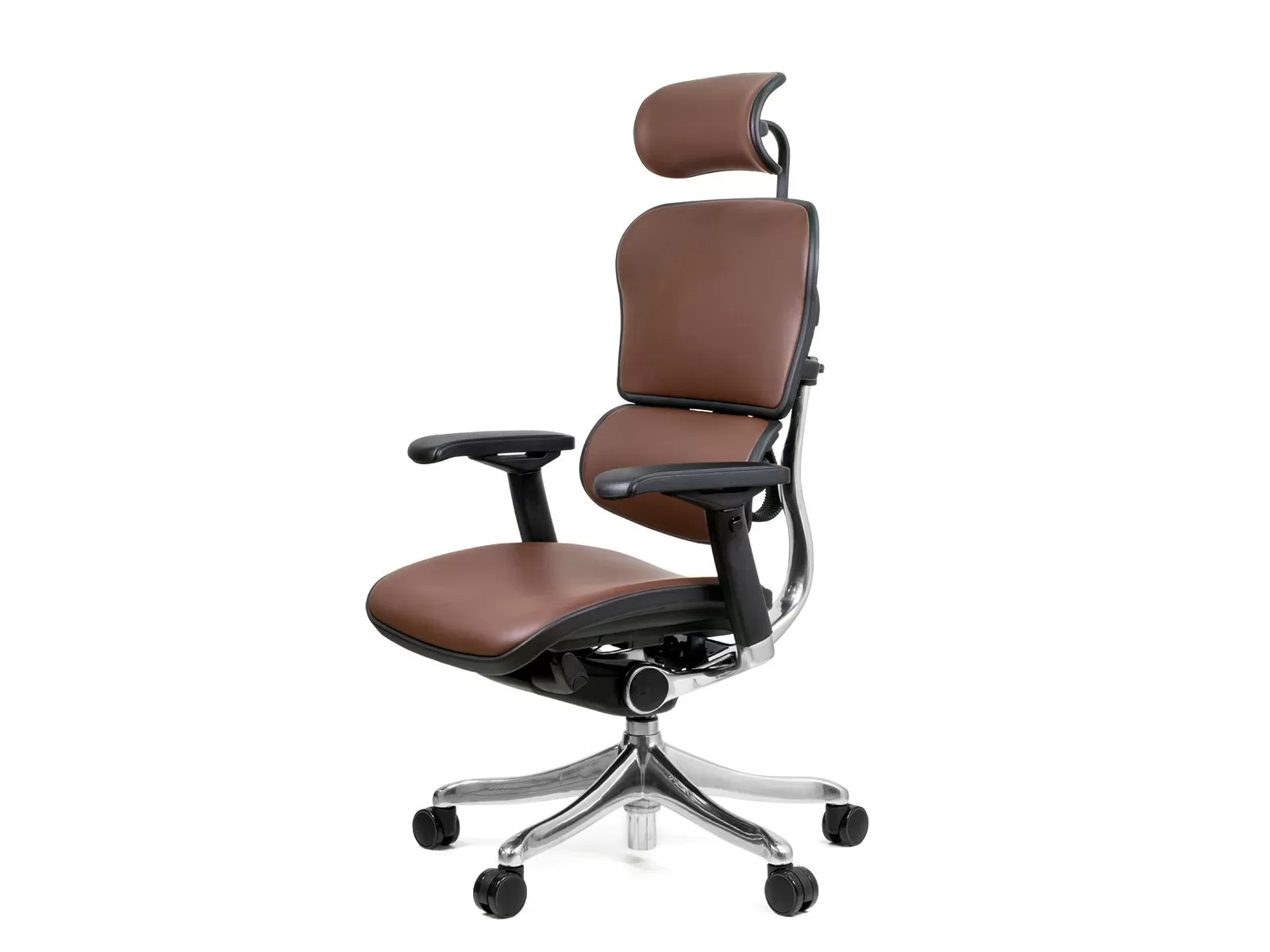 Эргономичное кресло в коже Ergohuman Plus Lux