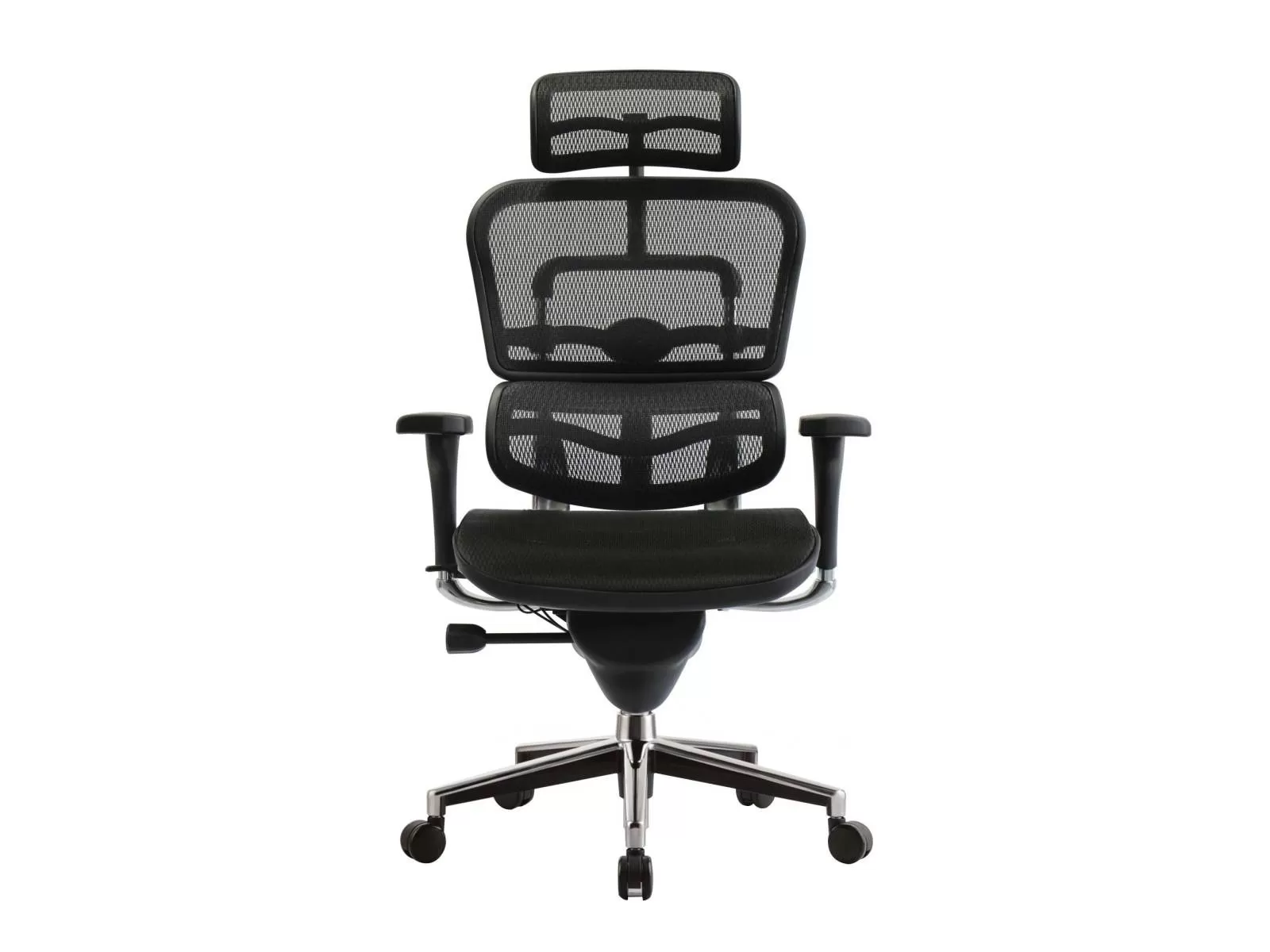 Эргономичное компьютерное кресло Ergohuman Standard
