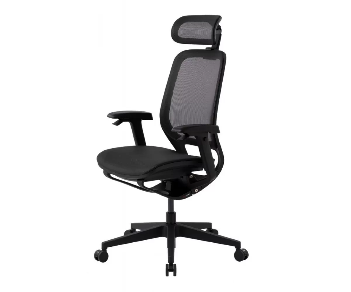 Эргономичное кресло Neoseat X