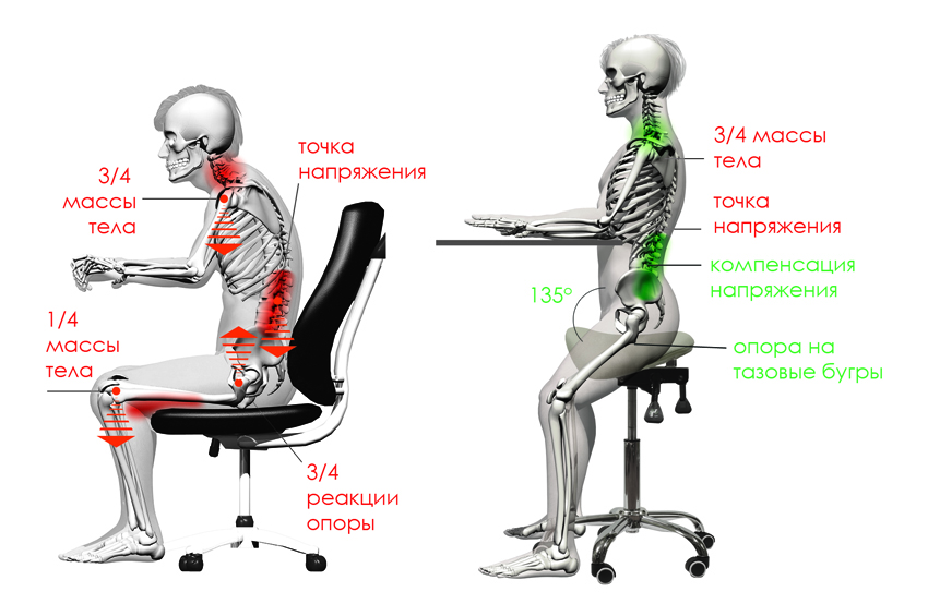 Распределение напряжения на позвоночник от седла